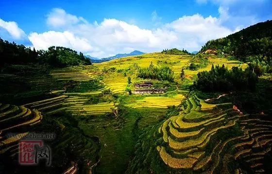 福建被国办通报表扬了!这些地方将享受国家政策、资金等激励支持