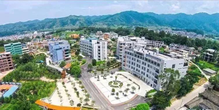 福建被国办通报表扬了!这些地方将享受国家政策、资金等激励支持