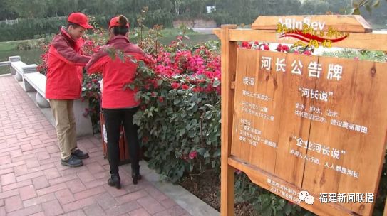 福建被国办通报表扬了!这些地方将享受国家政策、资金等激励支持